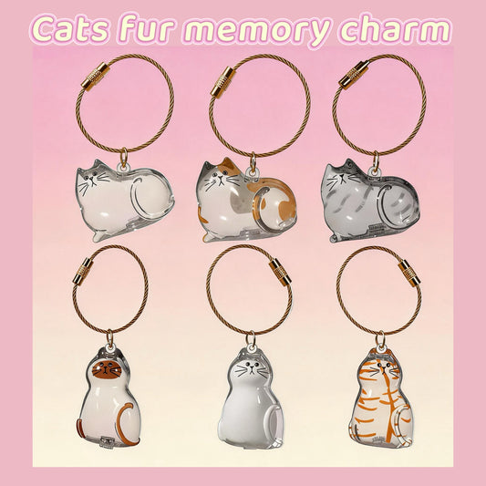 Cat fur memorial keychain with gold chain and clear acrylic window